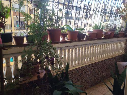 Appartement F3 a vendre cherchell DNC