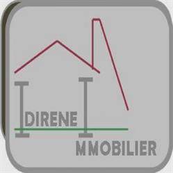 Idirene Immobilier