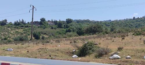 Terrain Urbain El Aouana 