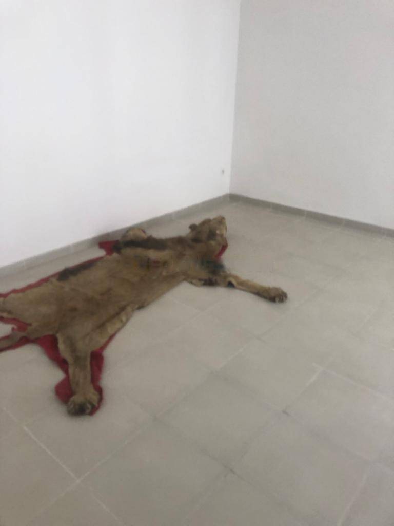 Location Appartement F5 Cheraga