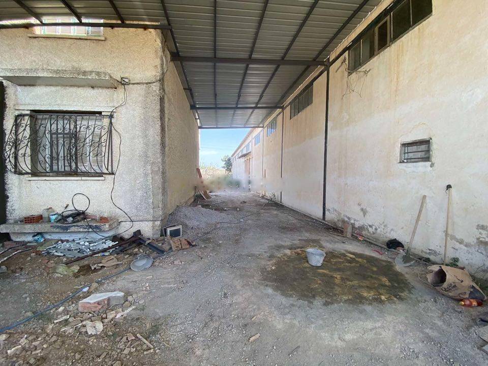 Location Hangar Tessala El Merdja