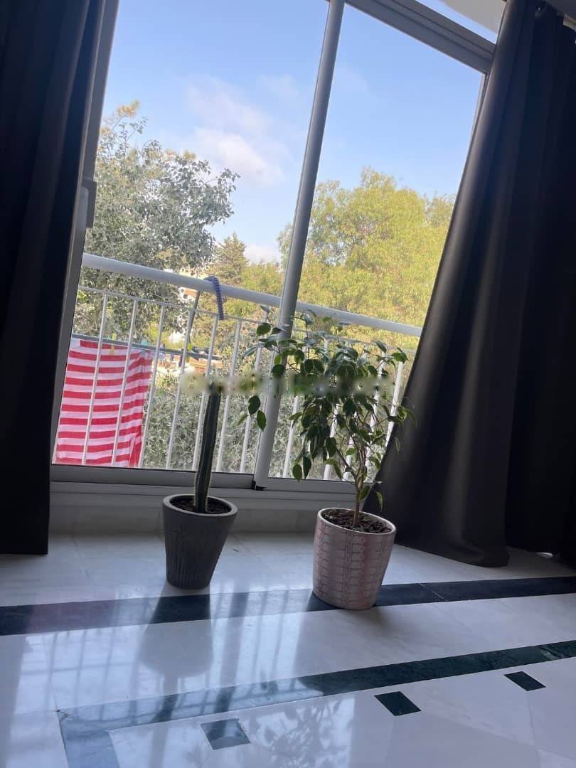 Vente Appartement F4 Hydra