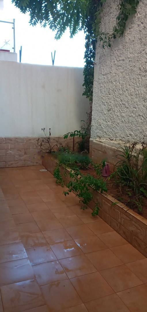 Location Appartement Kouba