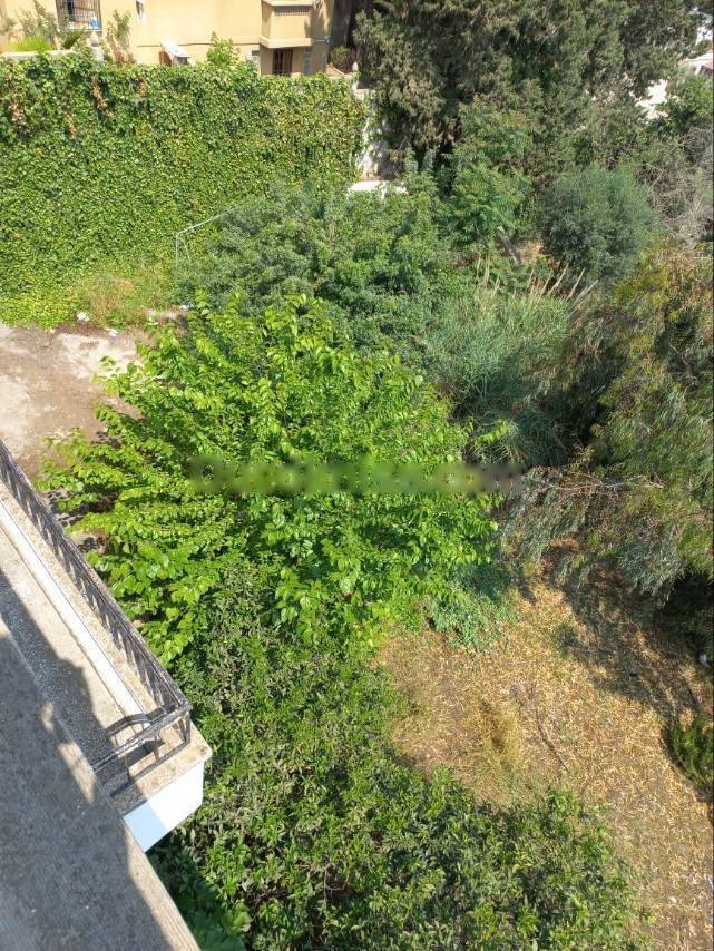 Location Villa F9 Kouba