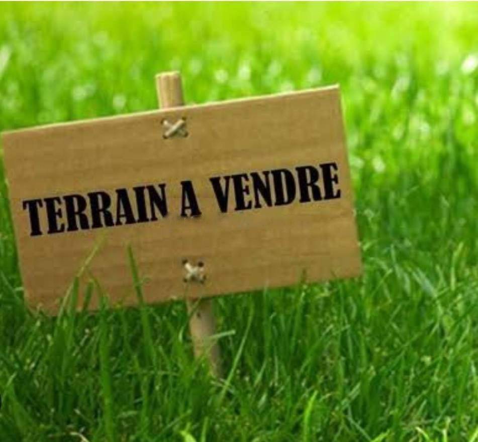 Vente Terrain Cheraga