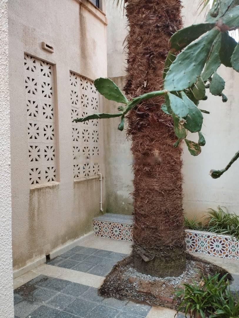 Vente Villa F7 El Marsa