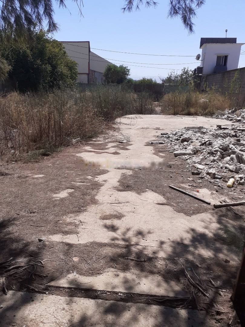 Location Hangar Reghaia