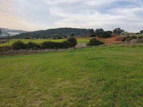 Vente Terrain El Achour