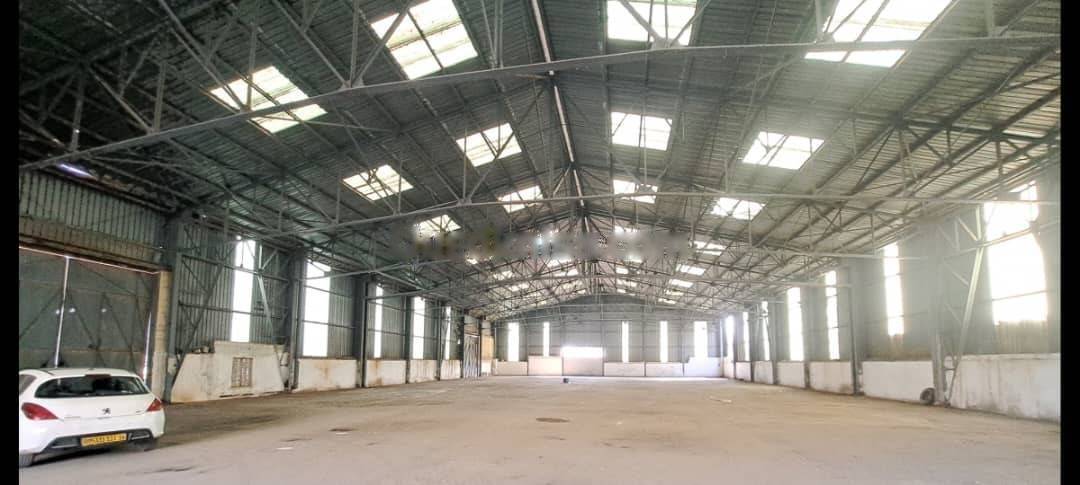 Location Hangar Reghaia