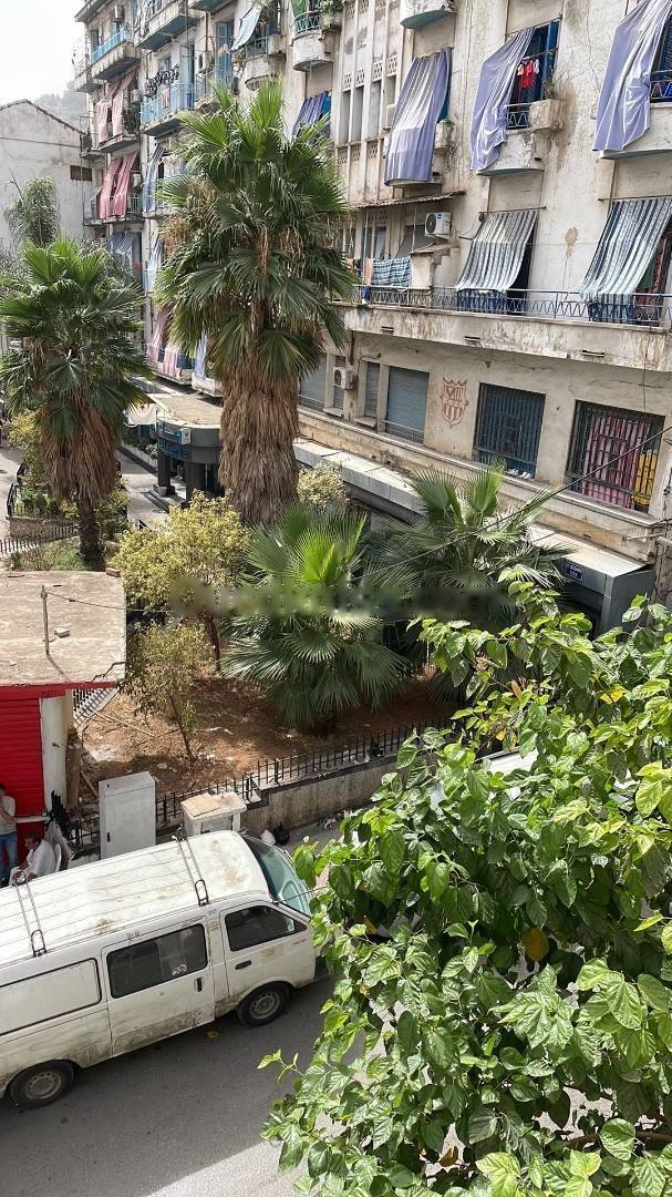 Vente Appartement F3 Belouizdad