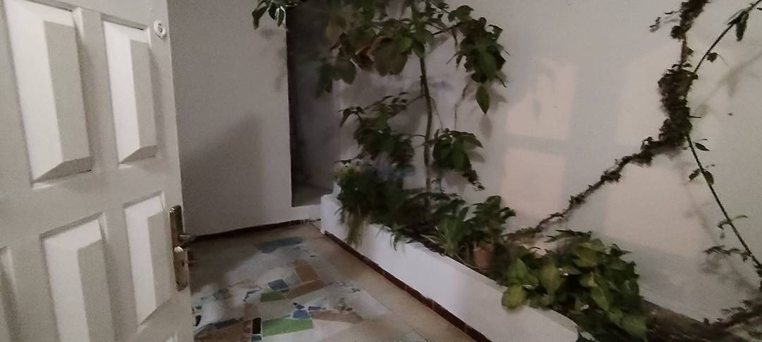Location Niveau de villa F3 Dely Ibrahim