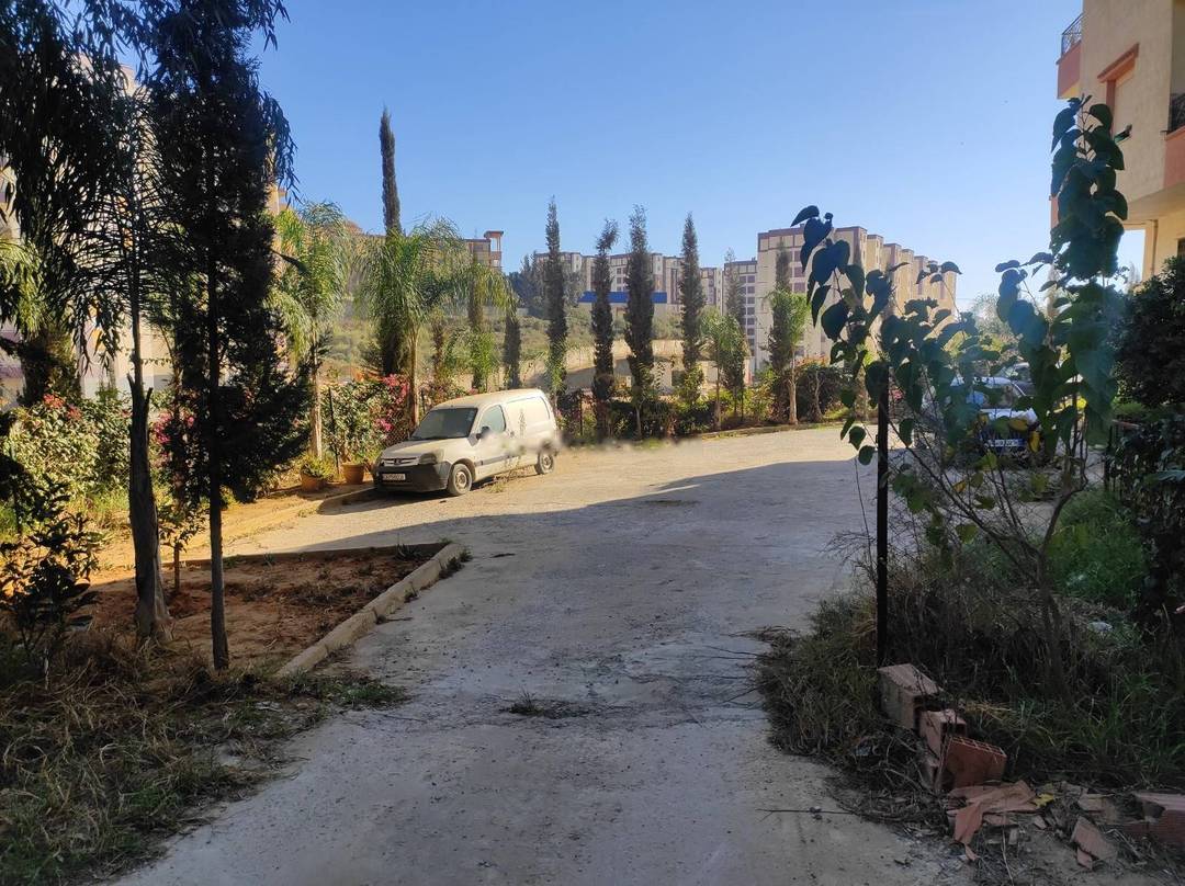 Location Local Draria