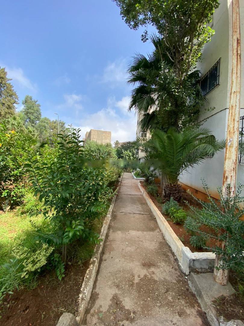 Vente Appartement F3 Bir Mourad Rais