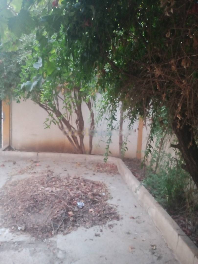 Location Villa F3 Les Eucalyptus
