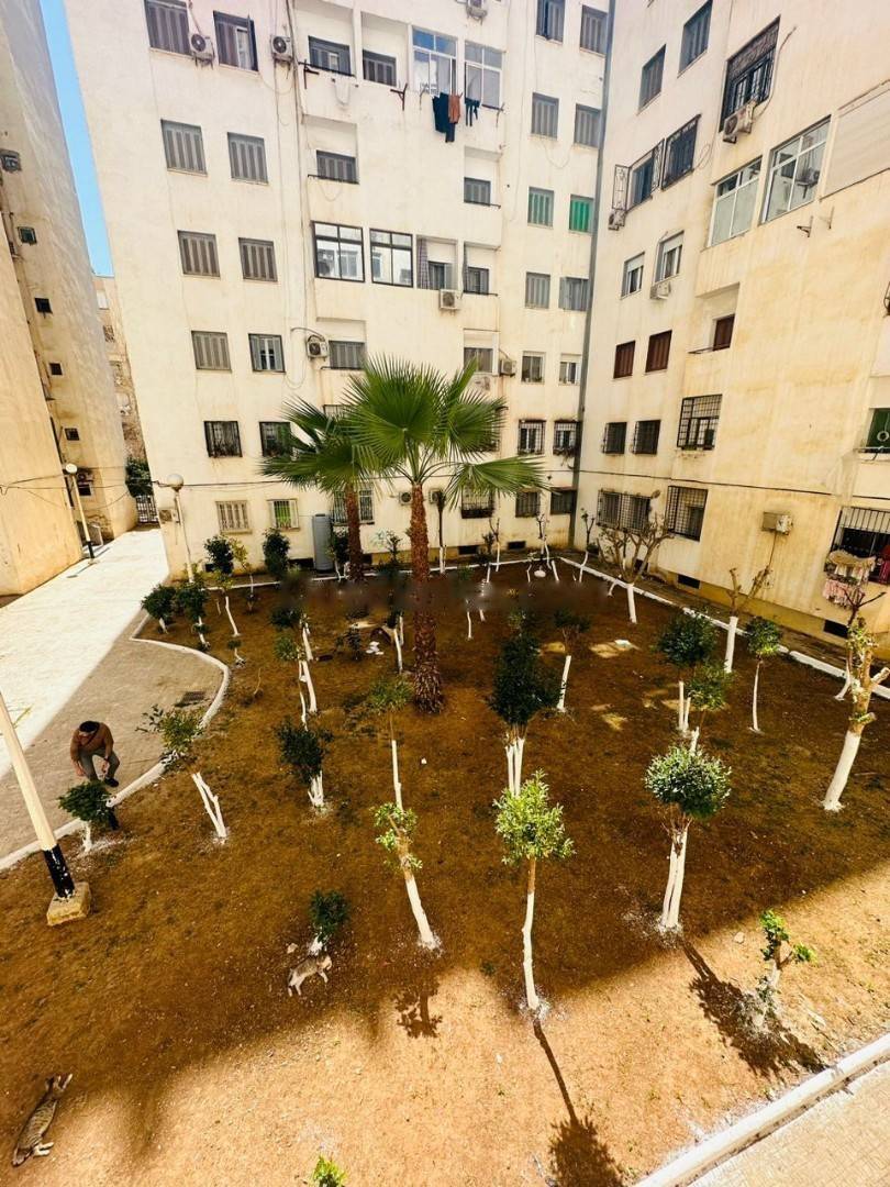 Location Appartement F3 Bab Ezzouar