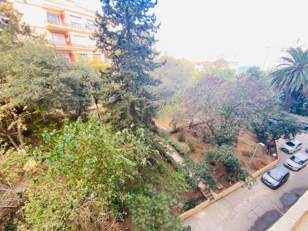 Location Appartement F3 El Biar