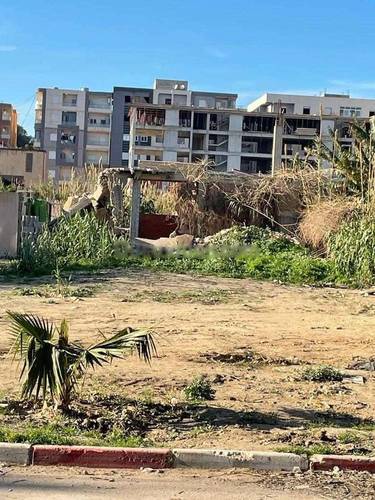 Vente Terrain Bordj El Kiffan