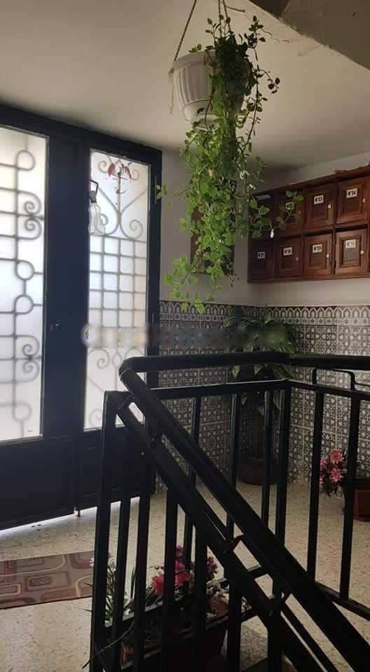 Location Appartement F3 Baba Hassen