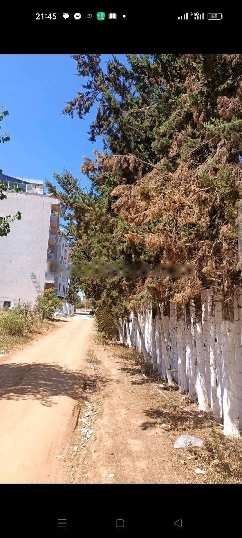 Vente Terrain Birkhadem