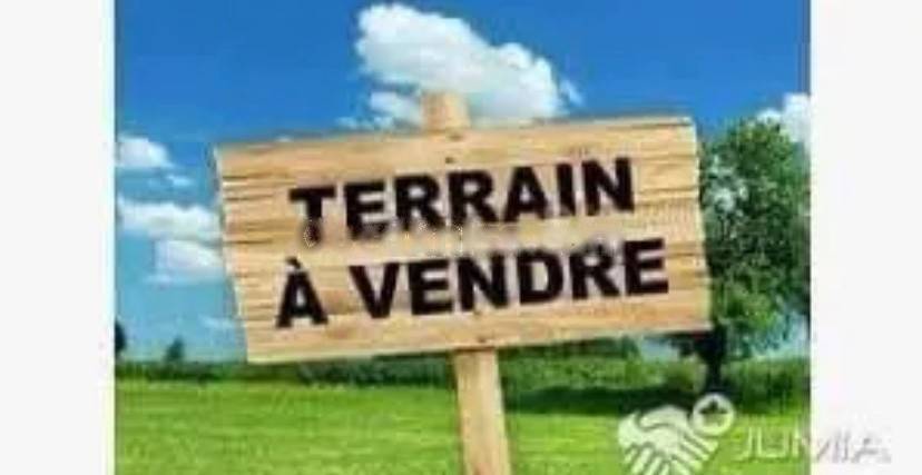 Vente Terrain Seraidi