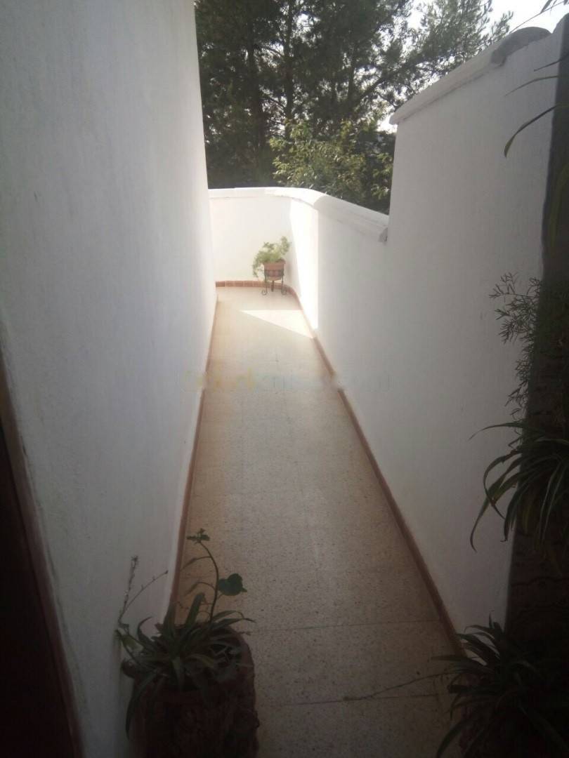 Vente Villa F10 Douera