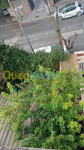 Location Appartement F4 Hydra