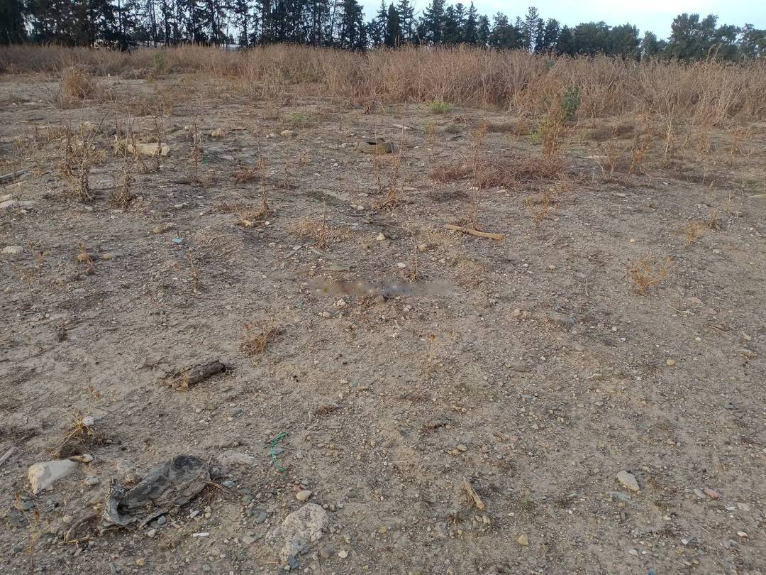 Vente Terrain Ouled Chebel