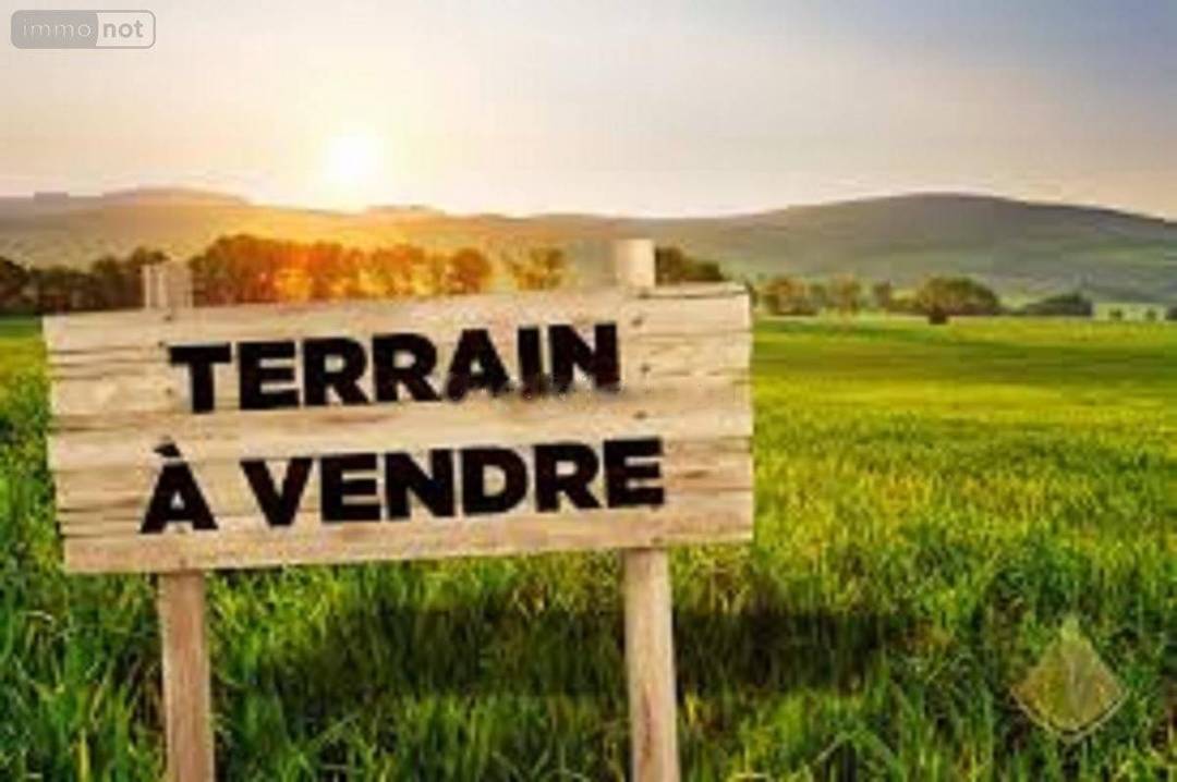 Vente Terrain Ain Benian