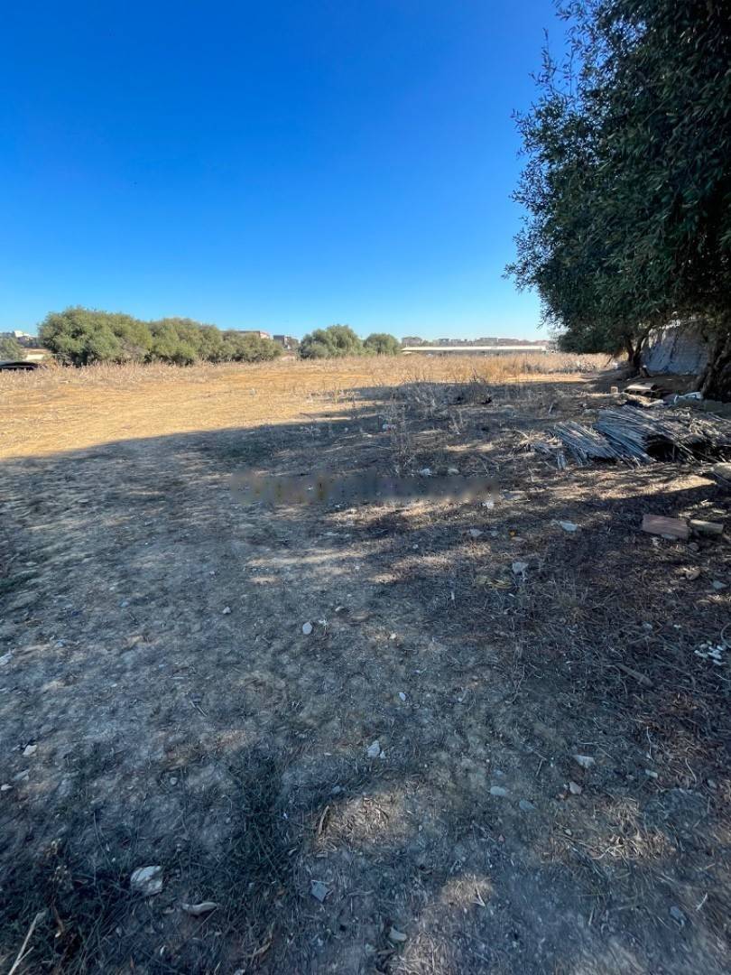 Location Terrain Reghaia