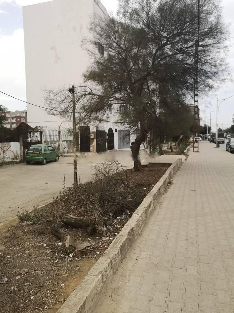 Location Local Douera