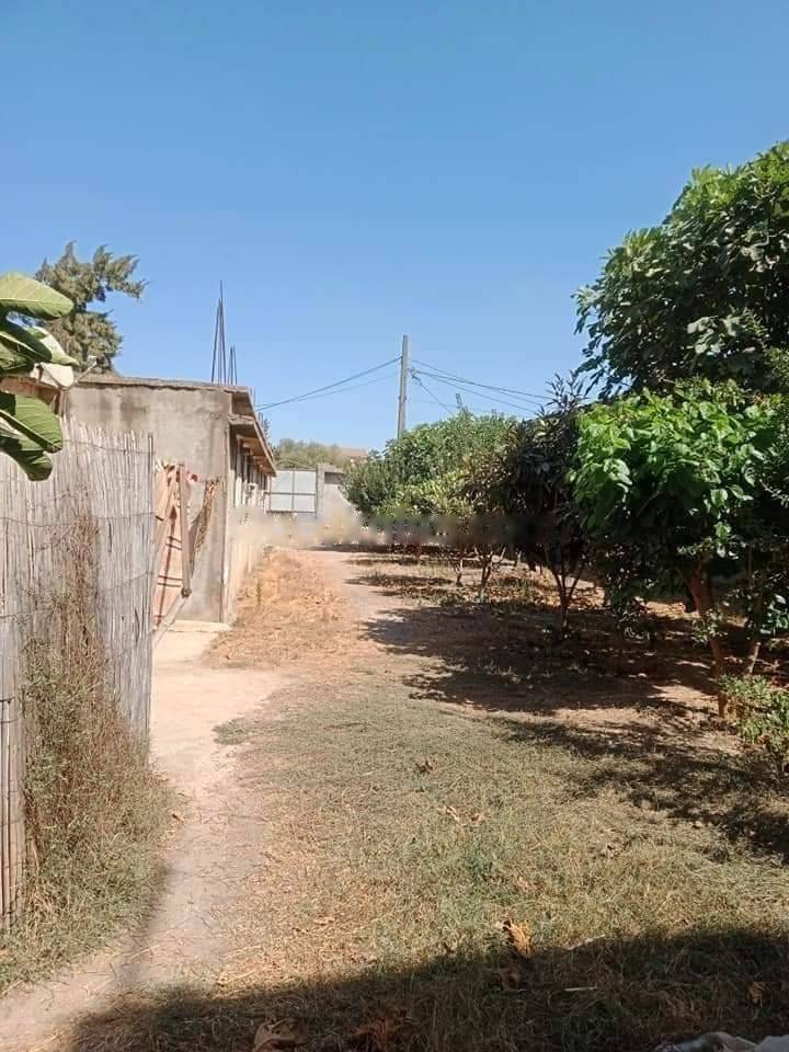 Vente terrain el harrach