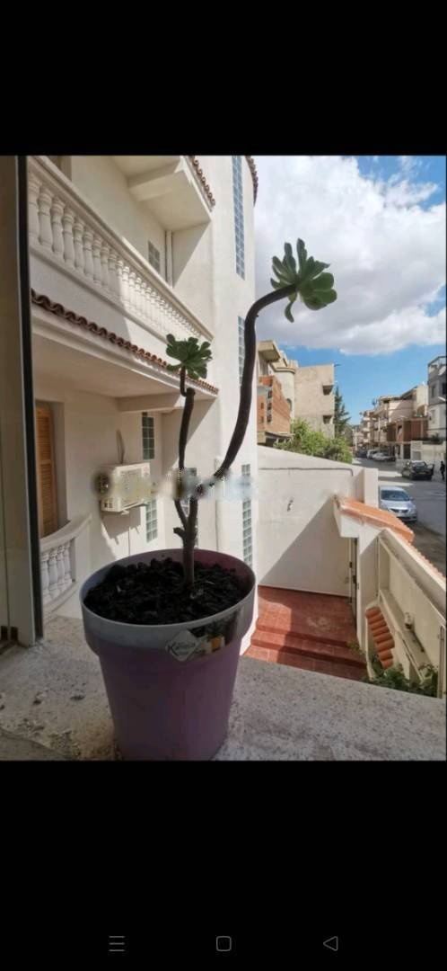 Location Niveau de villa F3 Douera