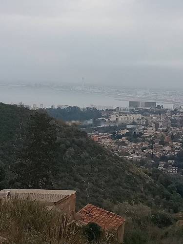 Vente Terrain Bouzareah