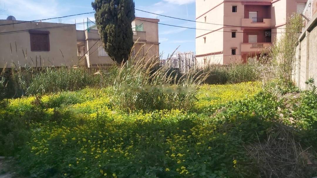 Vente Terrain Draria