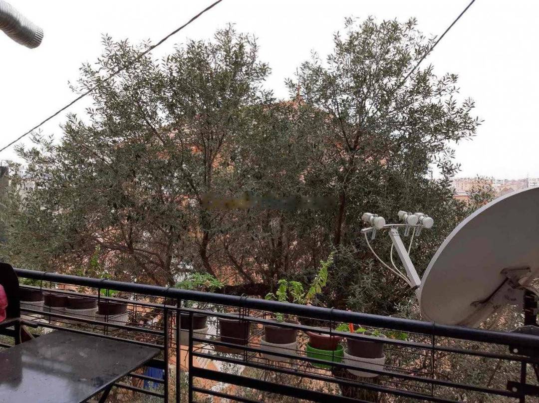 Location Appartement F2 Draria