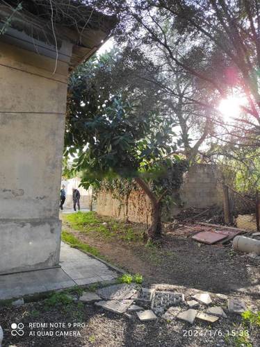 Vente Terrain Mohammadia