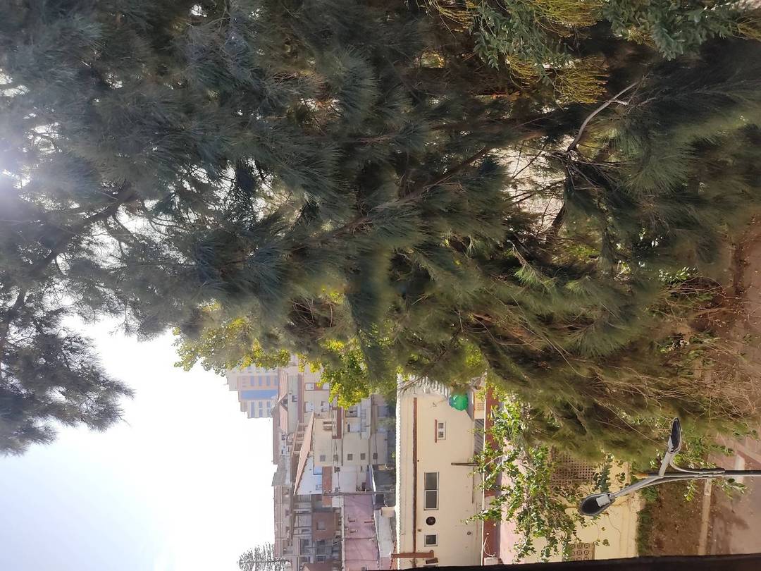 Vente Appartement F3 Mohammadia