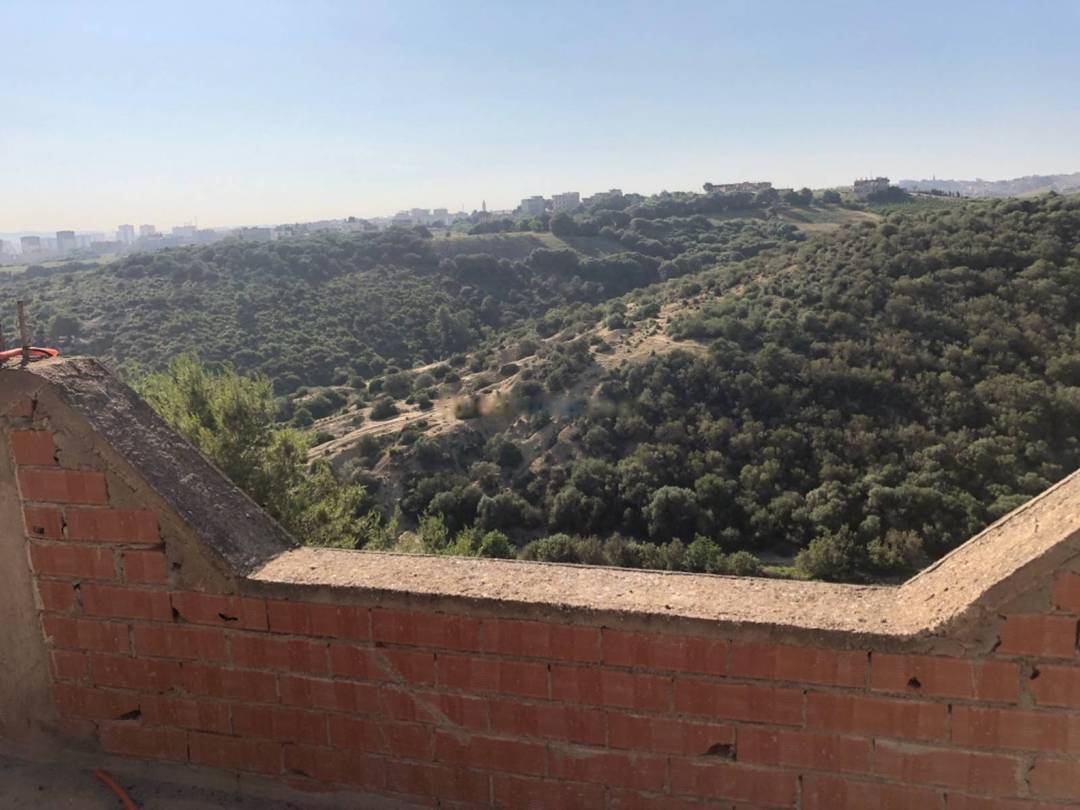Vente Villa F10 Douera