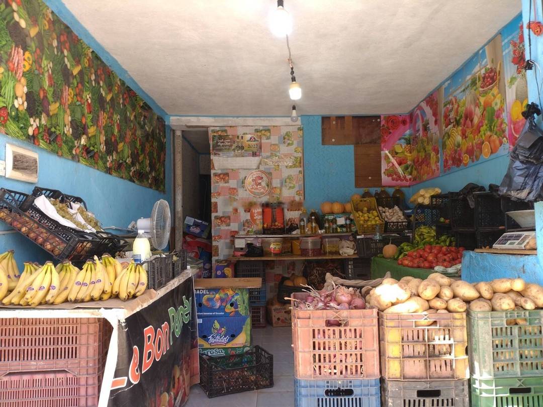 Vente Local F1 Les Eucalyptus