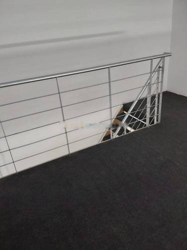 Location Local F0 Draria