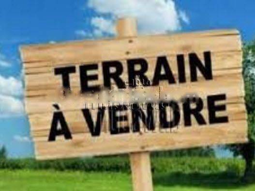 Vente Terrain Birkhadem