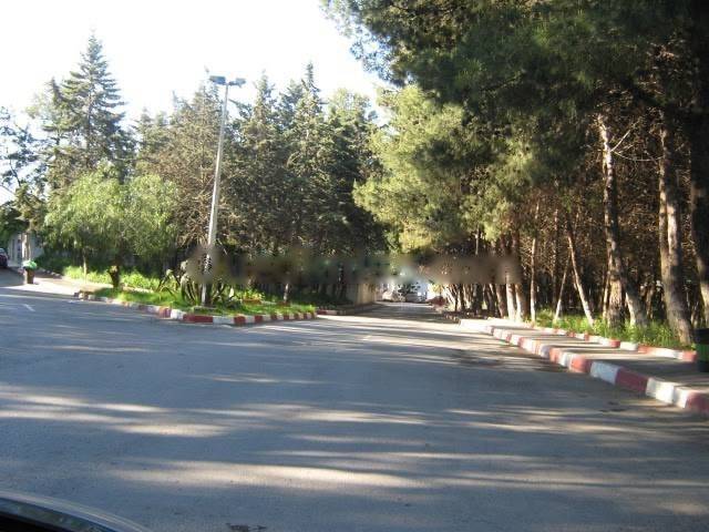 Location Appartement F2 Hydra
