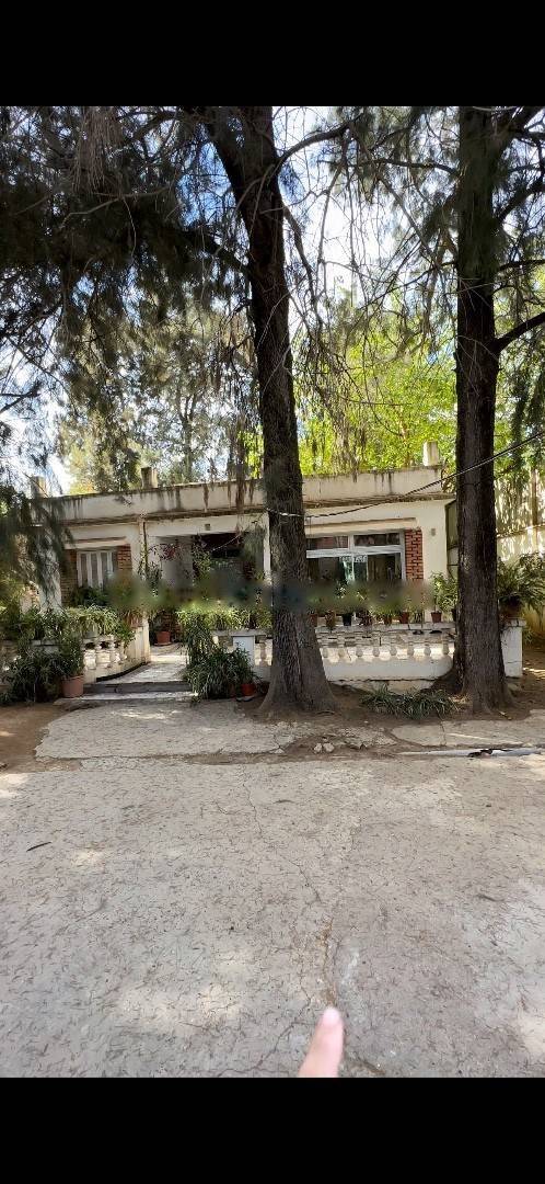 Vente Terrain Dely Ibrahim