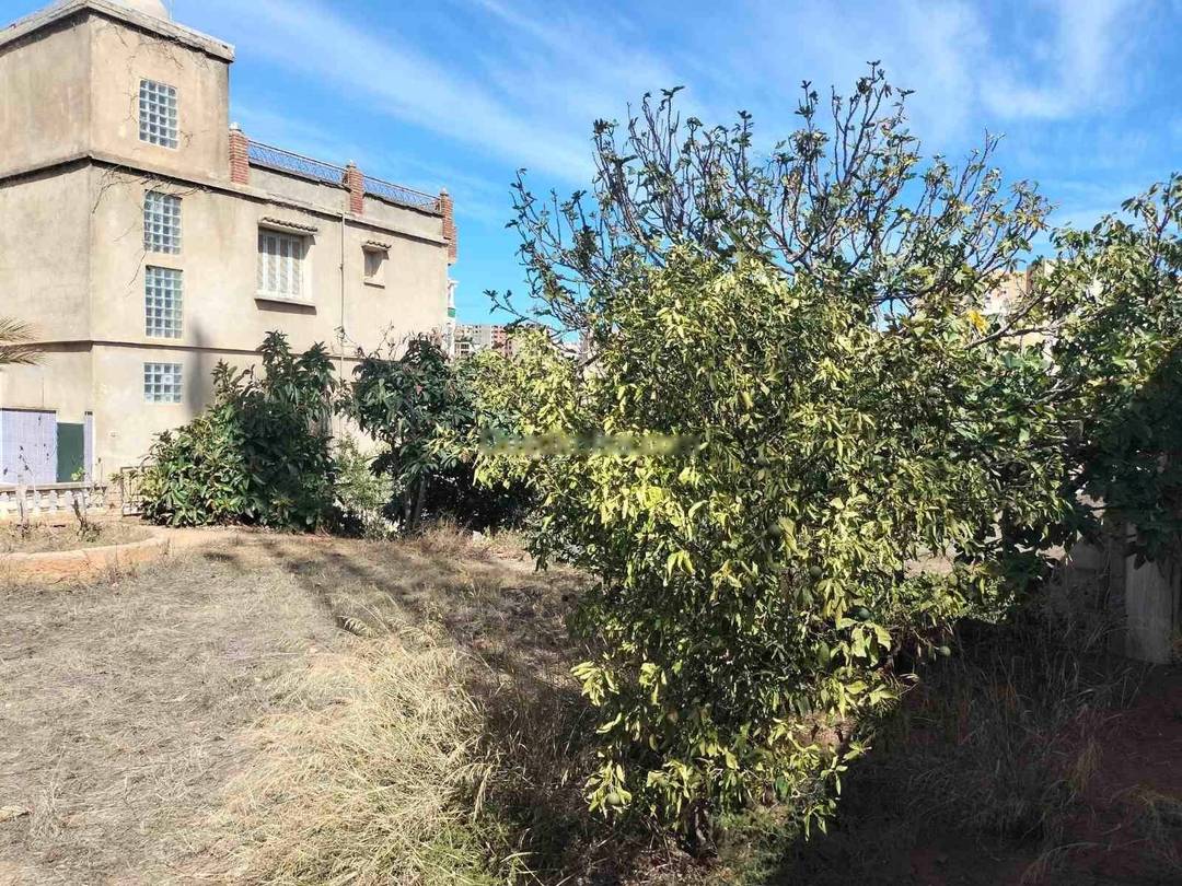 Vente Terrain Draria