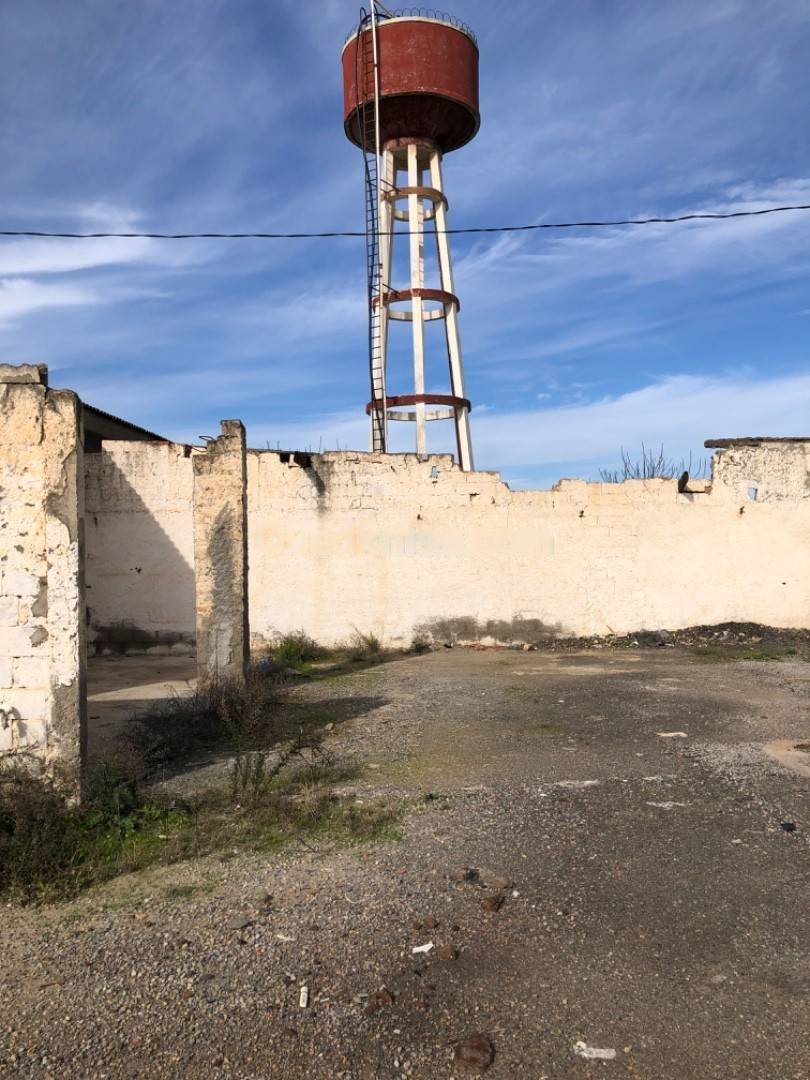 Location Hangar Sidi Moussa