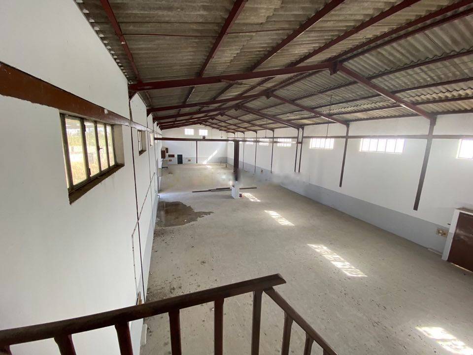 Location Hangar Tessala El Merdja