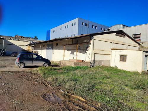 Location Hangar Les Eucalyptus