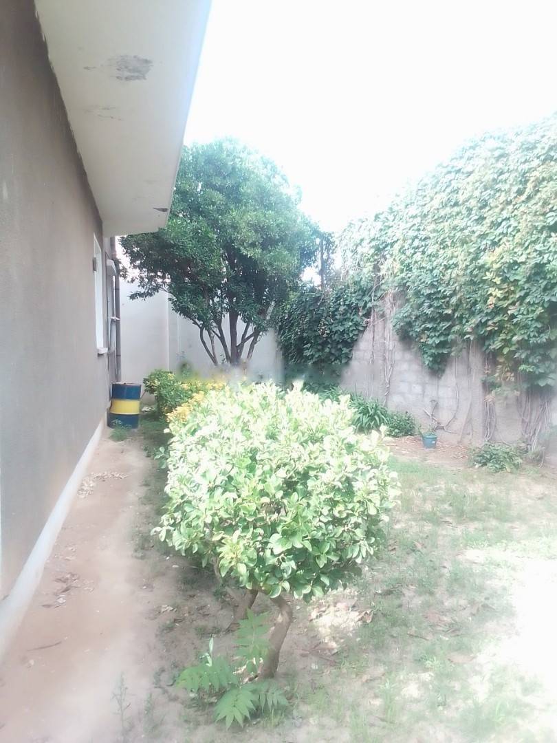 Location Appartement F3 El Biar
