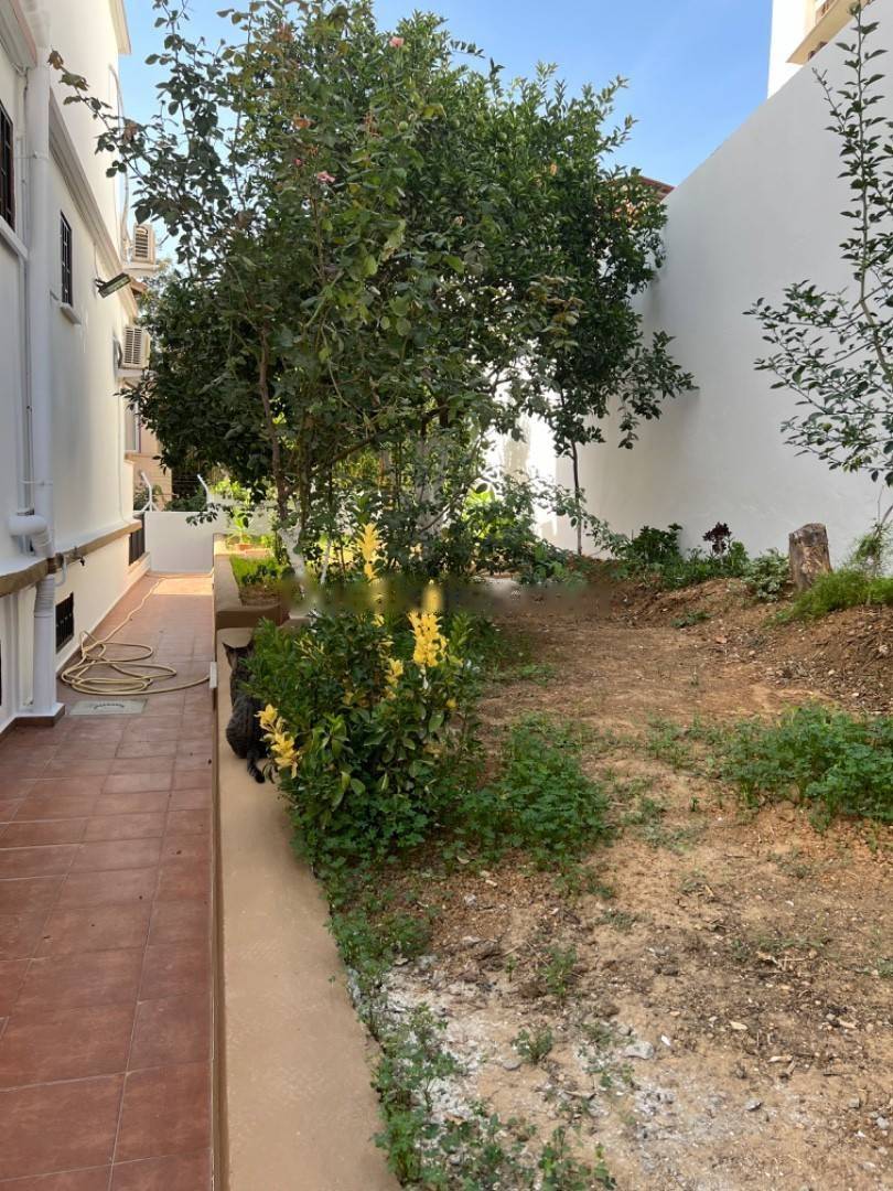 Location Villa F13 Kouba