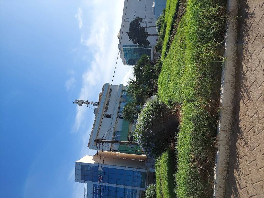 Location Appartement F3 Dely Ibrahim